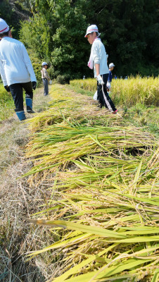 DJI_20250901095035_0008_D