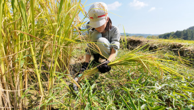 DJI_20250901095133_0011_D