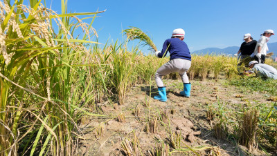 DJI_20250901095214_0013_D