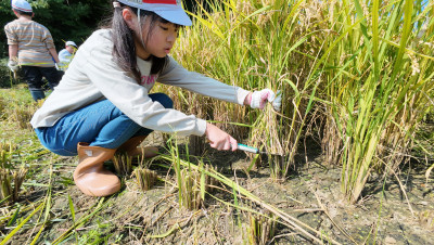 DJI_20250901095218_0014_D