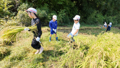 DJI_20250901095248_0016_D