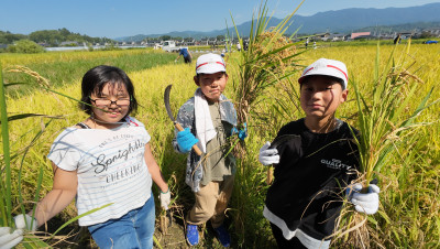 DJI_20250901095422_0019_D