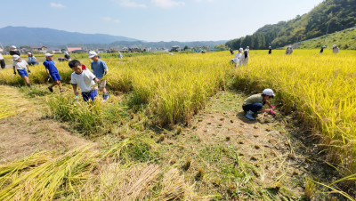 DJI_20250901095519_0020_D