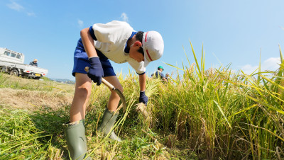 DJI_20250901095644_0021_D