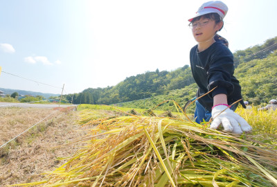 DJI_20250901100310_0025_D