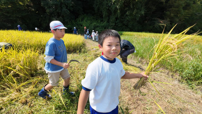 DJI_20250901095811_0022_D