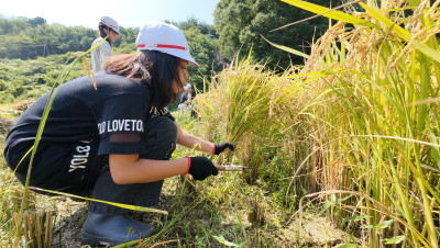 DJI_20250901100349_0026_D