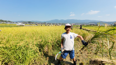 DJI_20250901100625_0037_D