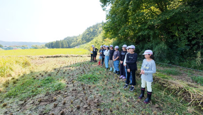 DJI_20250901103038_0043_D