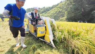 DJI_20250901104215_0046_D