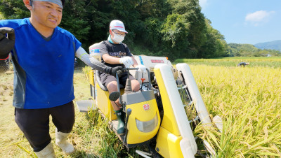 DJI_20250901104743_0047_D