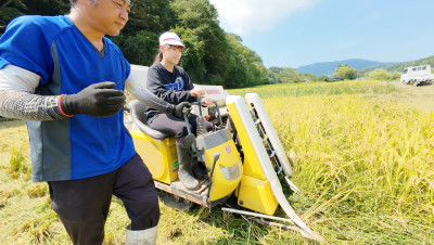 DJI_20250901110457_0053_D