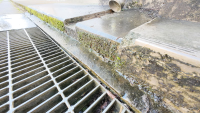 DJI_20250916085522_0002_D