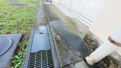 DJI_20250916085528_0003_D