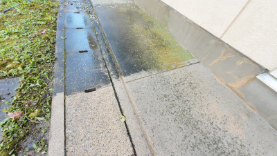 DJI_20250916100227_0007_D