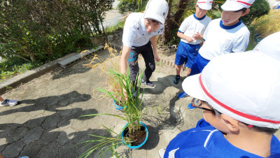 DJI_20250916100524_0008_D