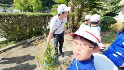 DJI_20250916100528_0009_D