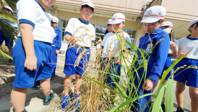 DJI_20250916100627_0014_D