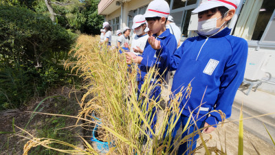 DJI_20250916100700_0015_D