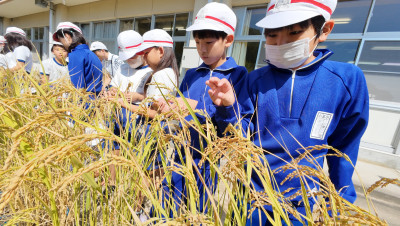 DJI_20250916100705_0016_D