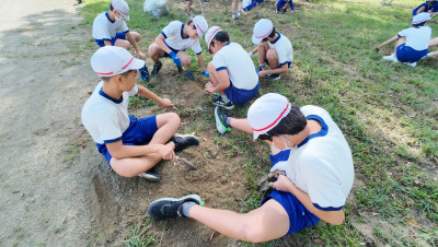 DJI_20250925085328_0009_D