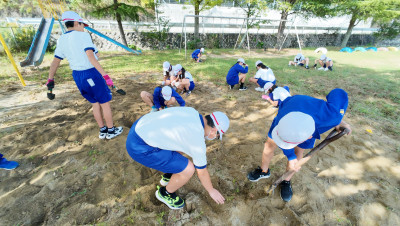 DJI_20250925085357_0010_D