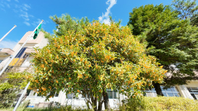 DJI_20251002102434_0001_D