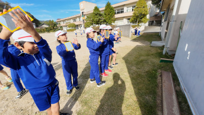 DJI_20251105095620_0008_D