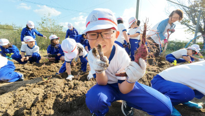 DJI_20251107104725_0011_D