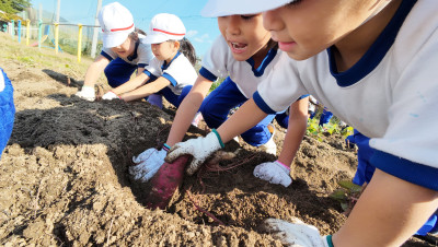 DJI_20251107104745_0013_D