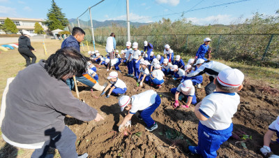 DJI_20251107104946_0016_D