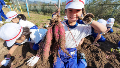 DJI_20251107105035_0017_D