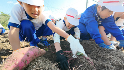 DJI_20251107105043_0018_D