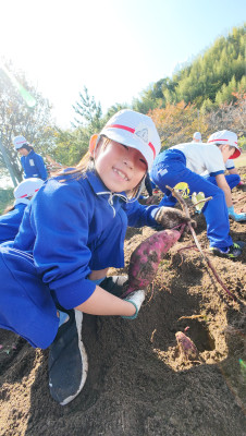 DJI_20251107105320_0023_D