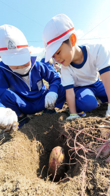 DJI_20251107105423_0025_D