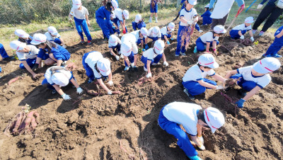 DJI_20251107105443_0026_D