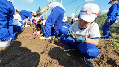 DJI_20251107105602_0027_D