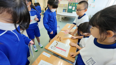 DJI_20251120110005_0012_D