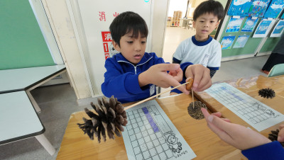 DJI_20251120110136_0018_D