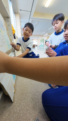 DJI_20251120114305_0036_D