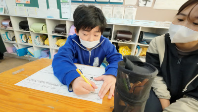 DJI_20251121094323_0008_D