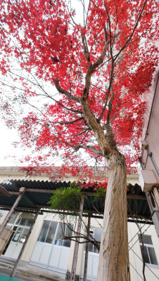 DJI_20251127105352_0026_D