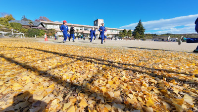 DJI_20251128102941_0020_D