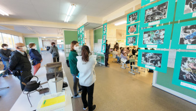 DJI_20251205135127_0008_D