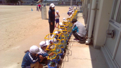 WIN_20250528_11_30_27_Pro