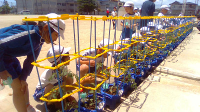 WIN_20250528_11_30_54_Pro