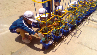 WIN_20250528_11_32_18_Pro