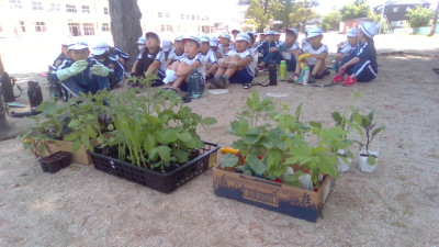 WIN_20250529_10_21_44_Pro