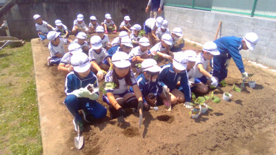 WIN_20250529_10_34_46_Pro