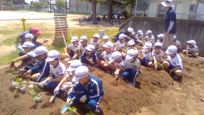 WIN_20250529_10_34_57_Pro